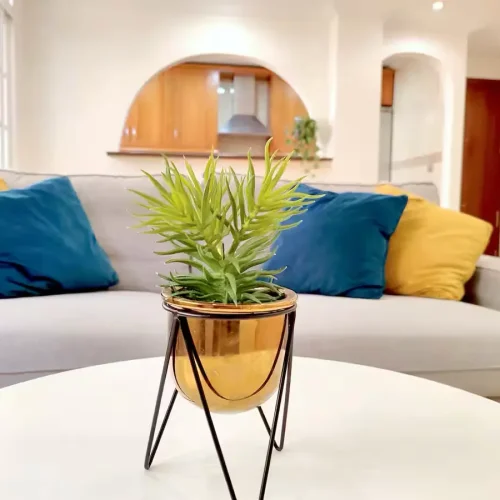 apartamento maria zambrano21